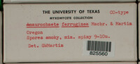 Image Associated With the Occurence